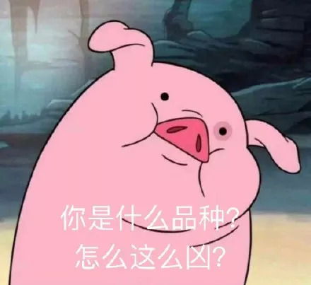 燃连漫画都画不出的青春热血剧情,居然真实发生了这才是我想要的青春啊