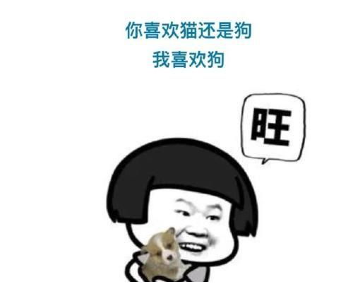 搞笑段子这次考试考得很不错啊,只挂了两科,文科and理科