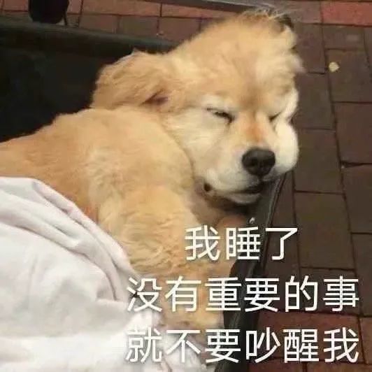 12.11抖音热门表情包