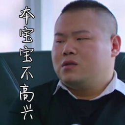 先生你哪位网友自制岳云鹏表情包遭吐槽