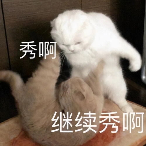 娶我陪嫁3000个表情包,一个都不带重复的