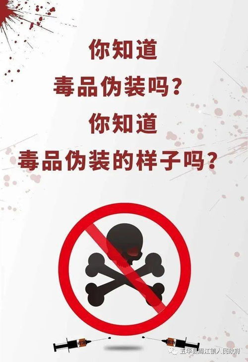 毒品伪装走私案宣判图说伪装毒品