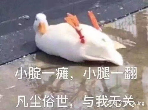怎样才能不让别人使唤你