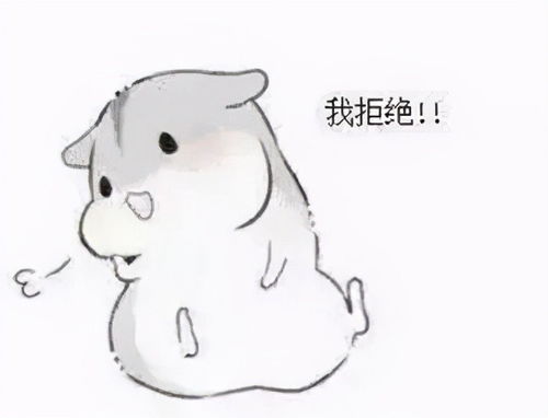 超超可爱的小仓鼠表情包,快去把你家男朋友喊过来看看