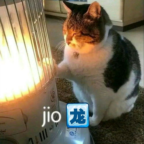 被文名耽误的好文沙雕向真香系列8.0表情包