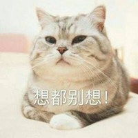 带字真动物头像图片微信头像图片大全