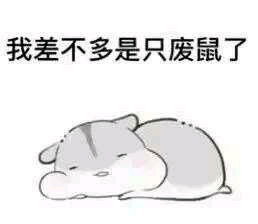 可爱的仓鼠表情包