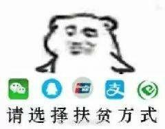 有什么好看不贵的平价包包推荐吗