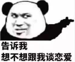 从流浪猫到富翁这只戏精猫逆袭成表情包影帝