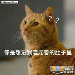 我噬元兽超凶橘猫表情包噬元兽队长表情包图片下载乐游网游戏下载