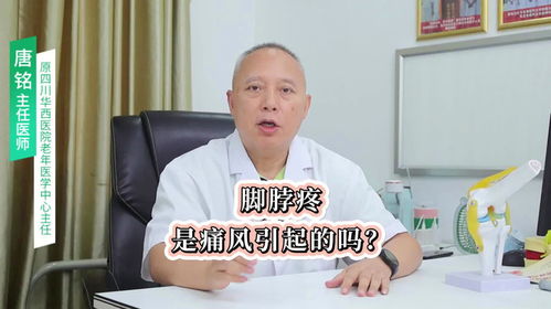 脚脖疼是痛风引起的吗成都痛风风湿医院