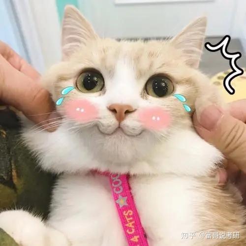 广西艺术学院考研播音主持艺术考试科目参考书目分数线复试录取情况分析
