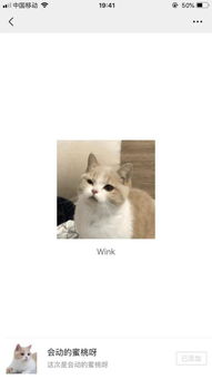 请问这个微信表情里的猫是什么品种