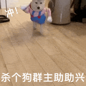 沙雕狗表情包