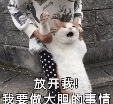 新一轮冷空气即将来袭,但是也拦不住贵州人集体脱单