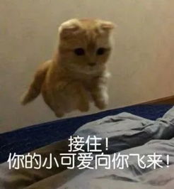 还不会玩云中君的召唤师,请戳这里