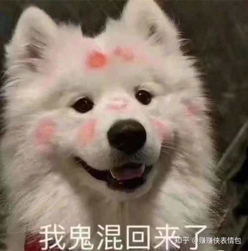 必备表情包图片帮你优雅的怼人,骂人不带脏字