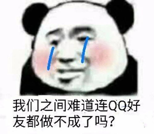 熊猫头表情包i期待2021.1.1的第一个男朋友