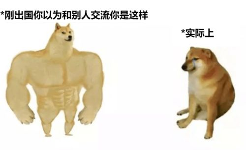 柴犬wink表情包ems