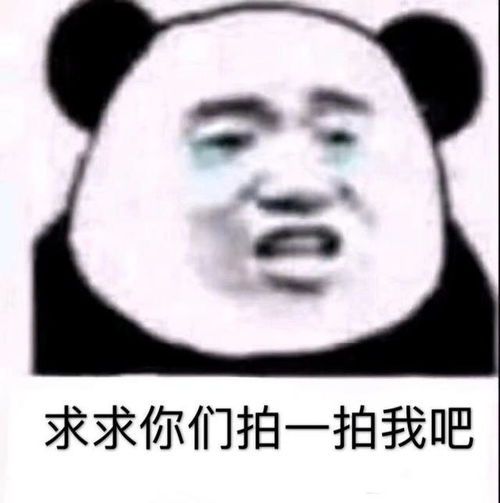 微信拍一拍聊天搞笑表情包来袭,拍一拍表情包火爆全网,拍一拍gif
