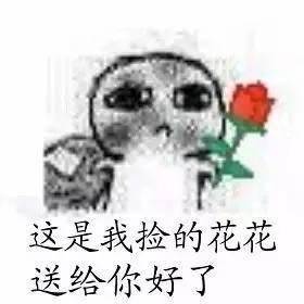 本人大二,会计,想跨专业考金融研,现在应该准备些什么