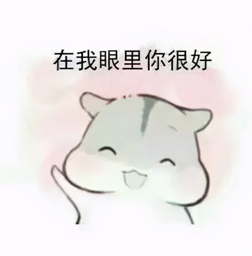 超超可爱的小仓鼠表情包,快去把你家男朋友喊过来看看