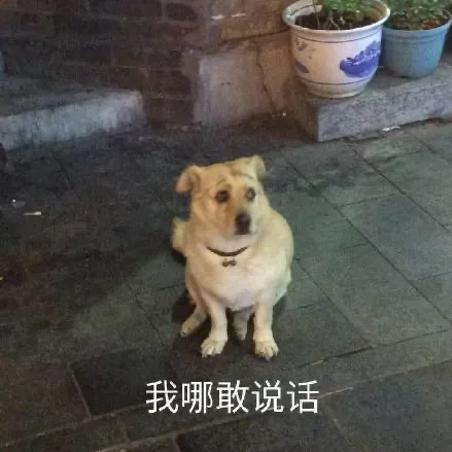 长时间打嗝,可能是身体出了问题