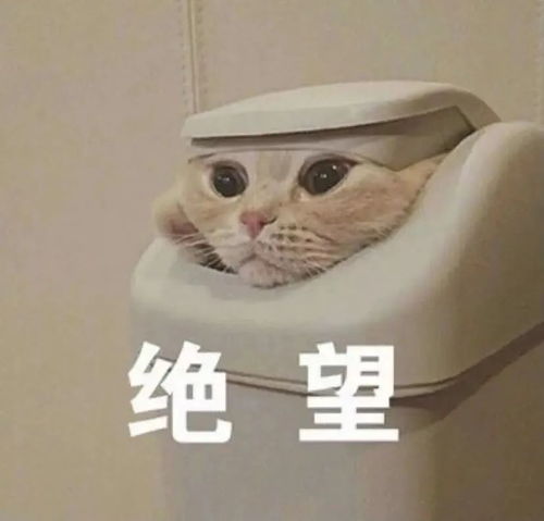 为什么有一群人性格如此敏感