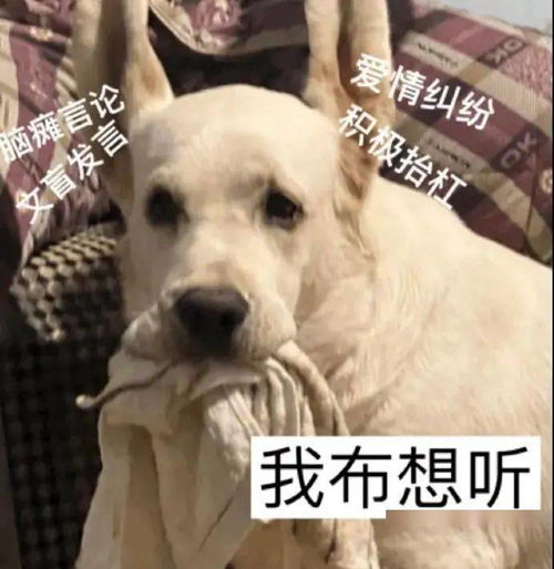 阴阳怪气动物系列表情
