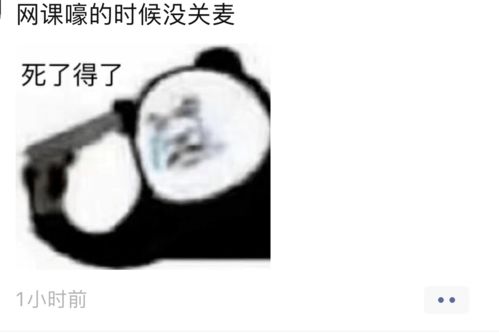 不会吧不会吧不会都2021了还有人上网课吧
