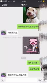 关于爸妈对表情包的理解涨姿势了