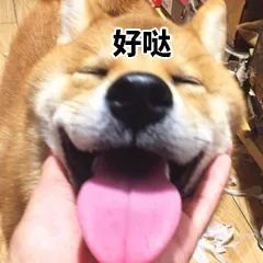 跟你超配的沙雕表情包
