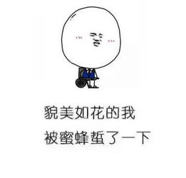 段子表情包