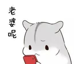 真仓鼠撩妹表情包整套萌图全是套路