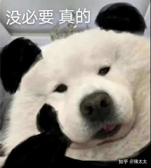 我感觉男友妈妈不喜欢我,是我太敏感了吗