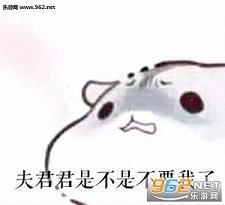 仓鼠夫妻
