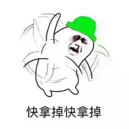 表情包当然是选择原谅啊