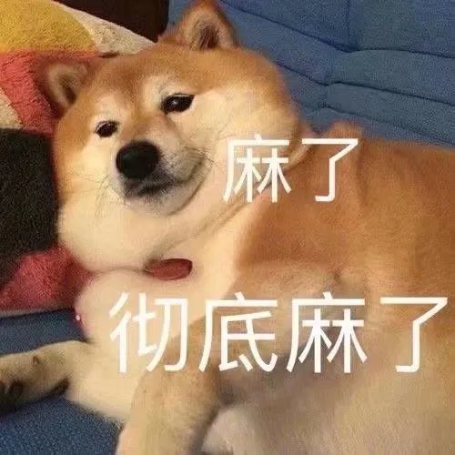 今日份的狗狗表情包