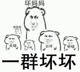 小坏坏系列表情包原图全套电脑客户端版雷达下载