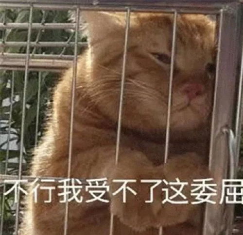 搞笑gif迷美让你的皮,看看你怎么拿下来,反正我是无能为力