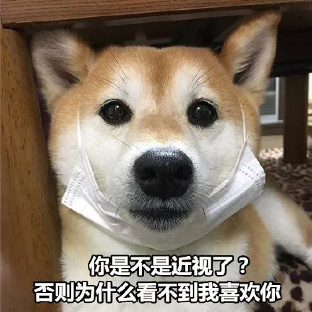 一波超级实用的表情快来收吧