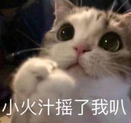 奶凶奶凶卖萌搞笑表情包我噬元兽不发飙,你当我是橘猫