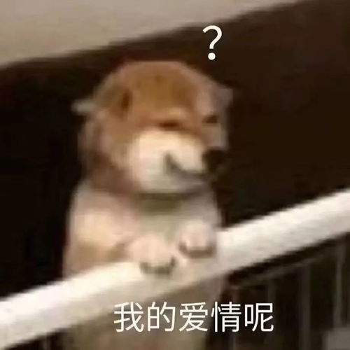领证第一天,老婆差点把厨房炸了
