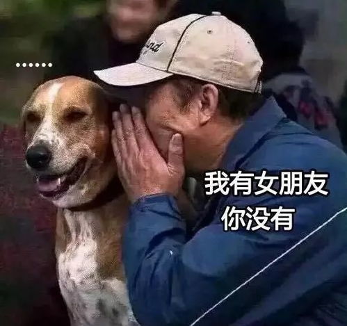 分手和表白这么严肃的事儿,等清明节再开玩笑吧