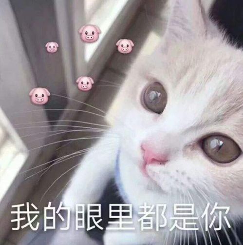 幽默笑话,小李为朋友演奏钢琴