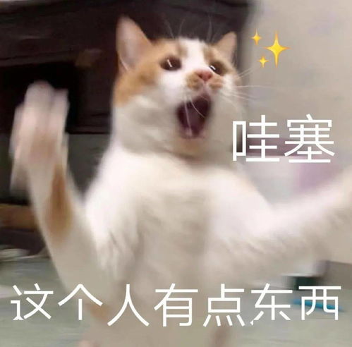 长得像明星是种什么体验妈呀我好羡慕