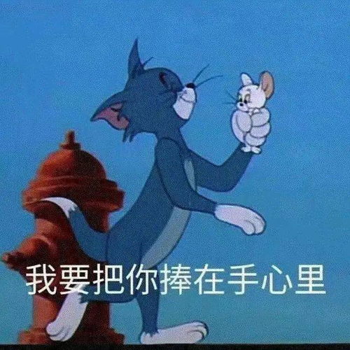 今日份表情包请接收