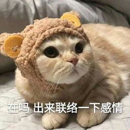 群里冒泡用的表情包你的小可爱,突然出现