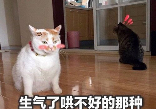 编辑器小表情增加微信图文趣味性