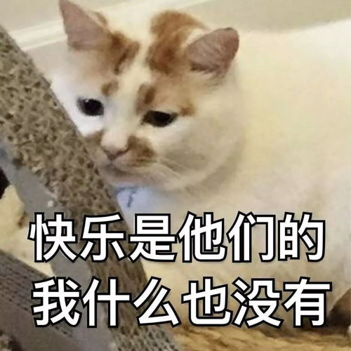 驾考新规出炉9月起,凭身份证省内异地通考,不再需要居住证